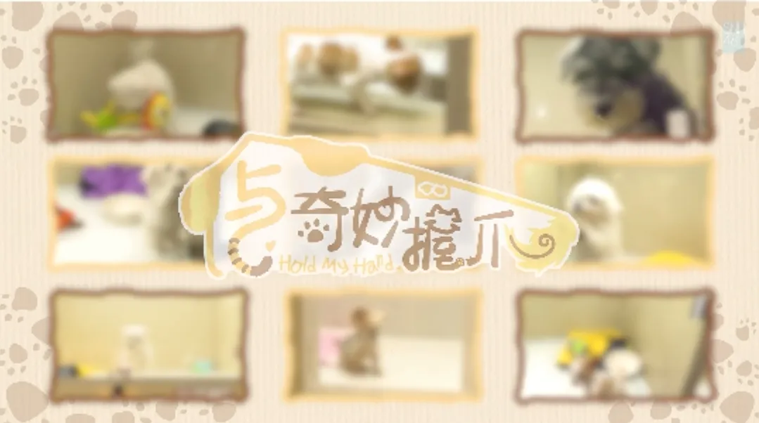 与奇妙握爪