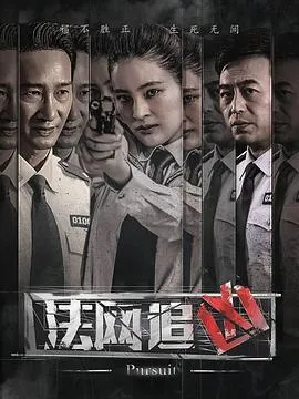 法网追凶[电影解说]