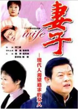 妻子2004[电影解说]