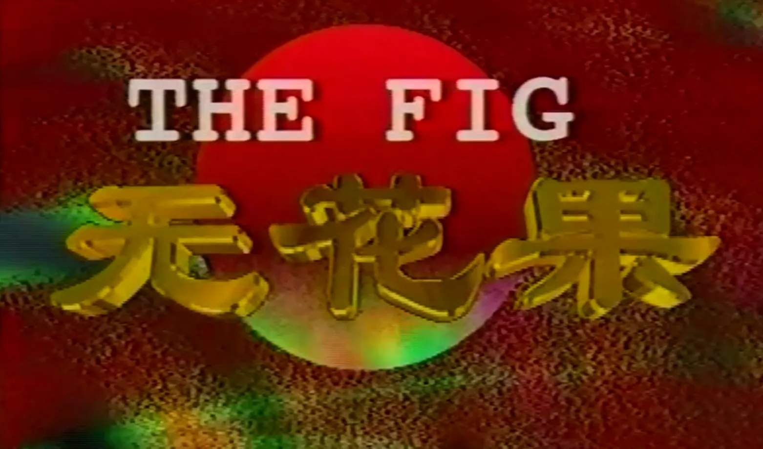无花果1996