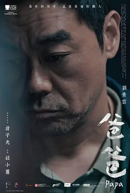 爸爸2024[电影解说]