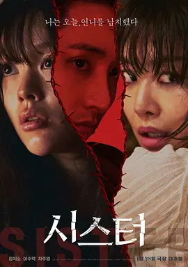 姐妹2026[电影解说]
