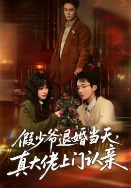 假少爷退婚当天，真大佬上门认亲