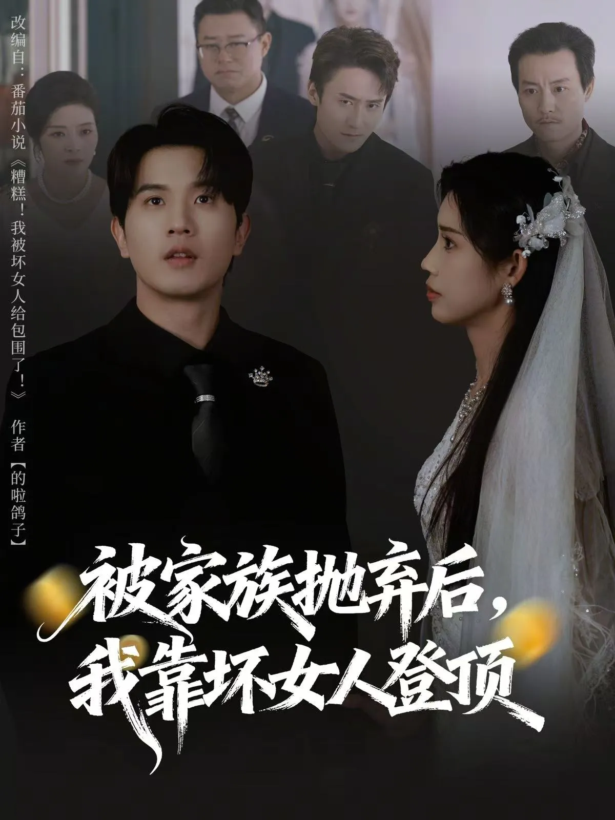 被家族抛弃后，我靠坏女人登顶