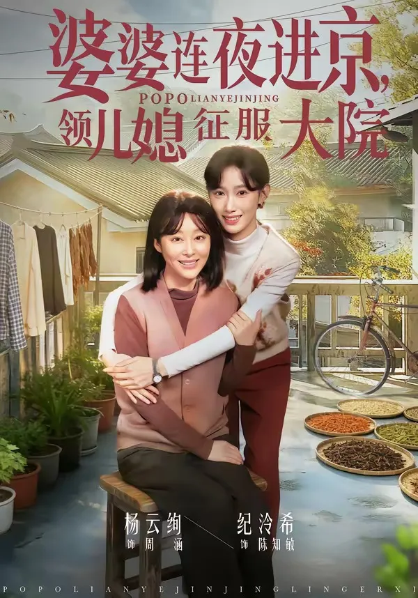 婆婆连夜进京，领儿媳征服大院