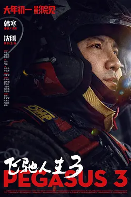 飞驰人生3[电影解说]