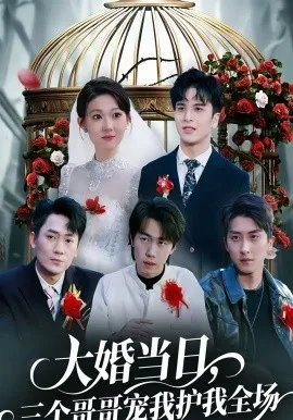 大婚当日，三个哥哥宠我护我全场