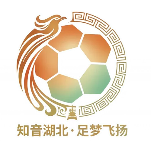 湖北省城市足球联赛 孝感孝傲江湖队VS随州炎炎队20260613
