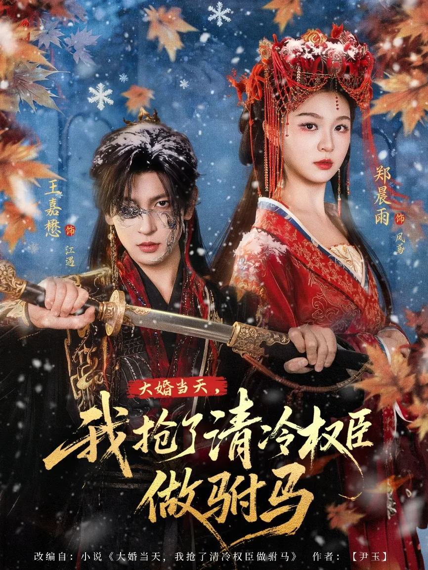 大婚当天，我抢了清冷权臣做驸马