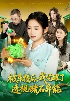 被车撞后，我觉醒了透视赌石异能了