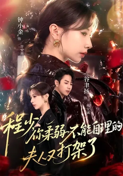程少你柔弱不能自理的夫人又打架了