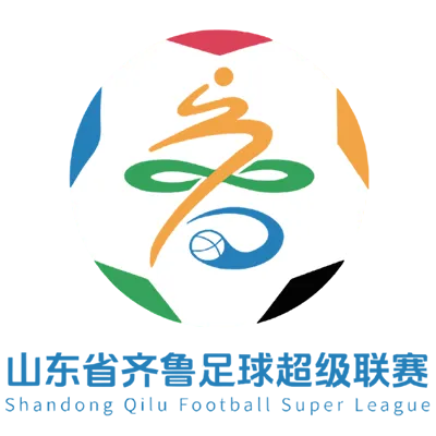 山东省齐鲁足球超级联赛 潍坊队VS济南队20260808