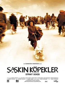 流浪狗2004[电影解说]
