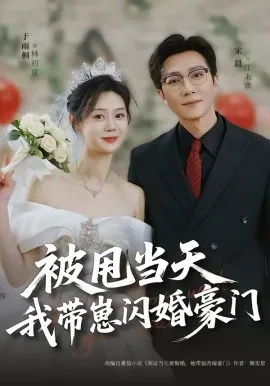 被甩当天我带崽闪婚豪门
