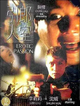 引郎入室1993[电影解说]